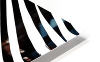 zebra abstract HD Metal print