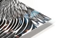 Eagle bnw  HD Metal print