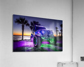 Dysfunctional Acrylic Print