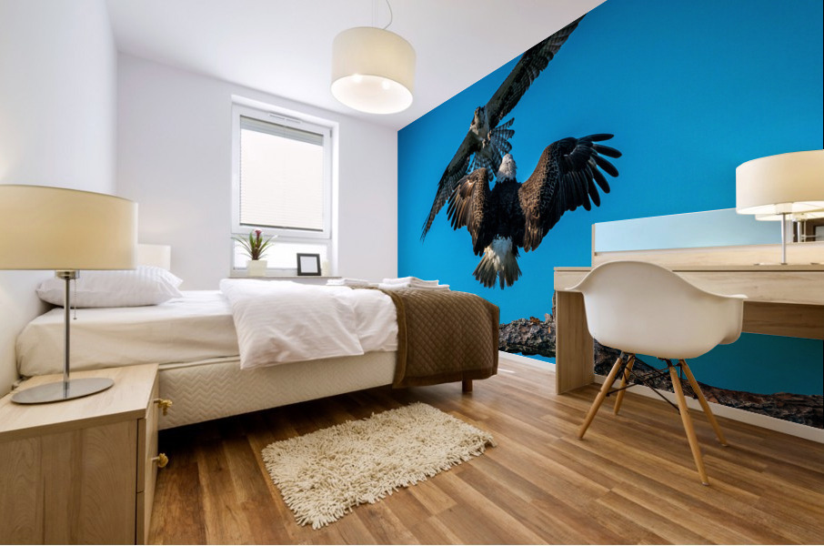 Bald Eagle vs Osprey  Mural print
