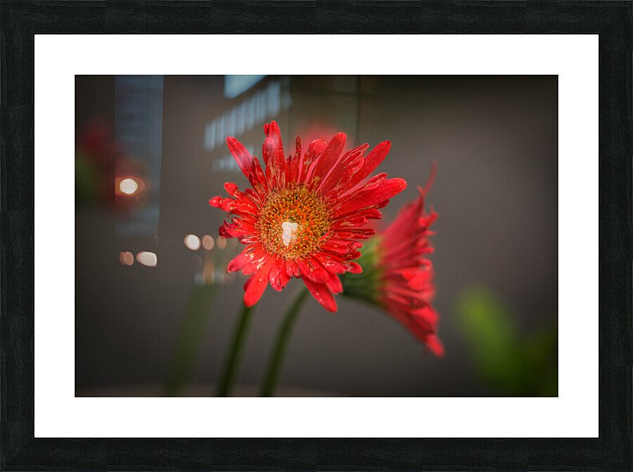 Flowers  Picture Frame print