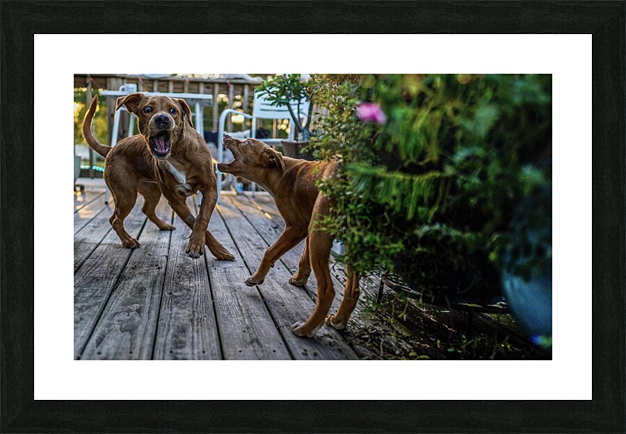Puppies  Picture Frame print