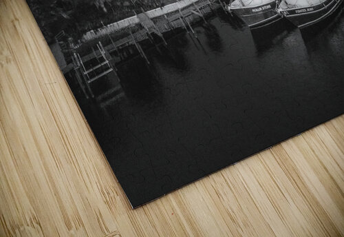 Carrabelle Florida  David Omohundro puzzle