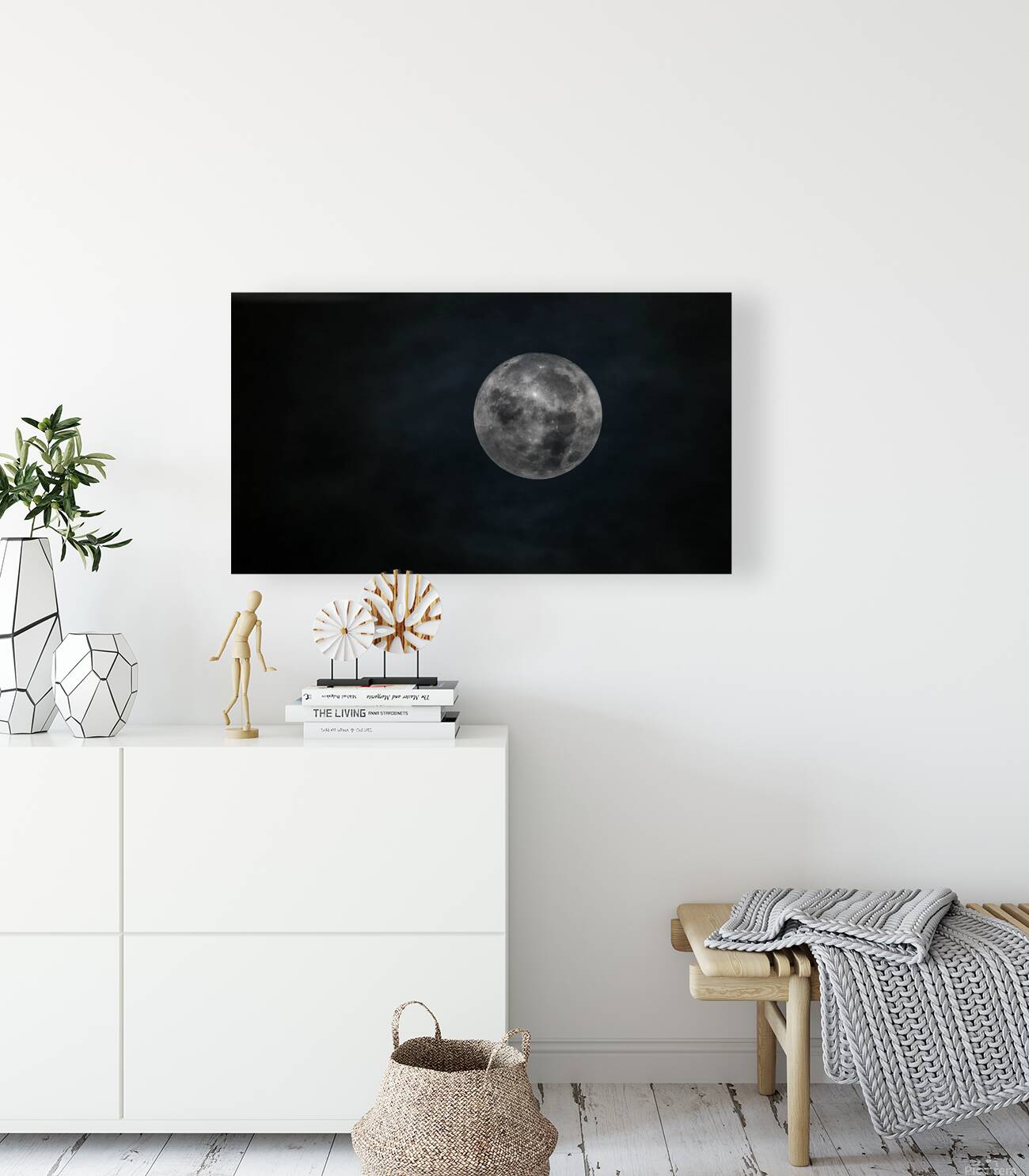 Moon Reproduction