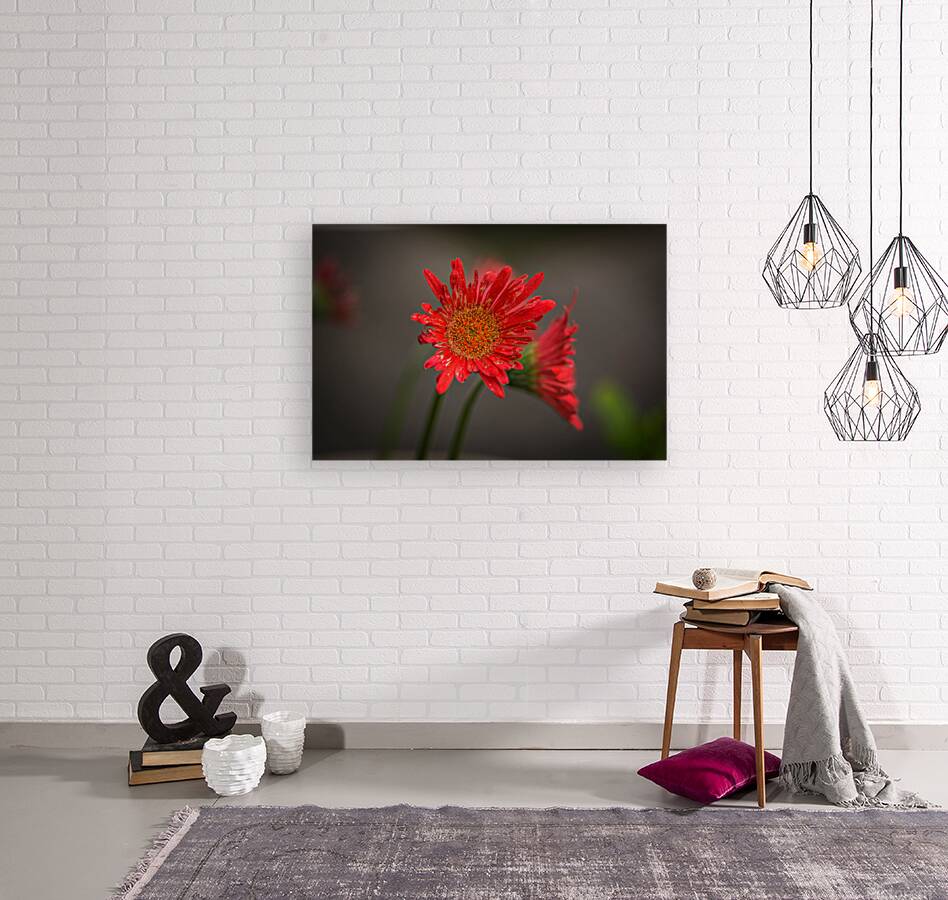 Flowers  Reproduction
