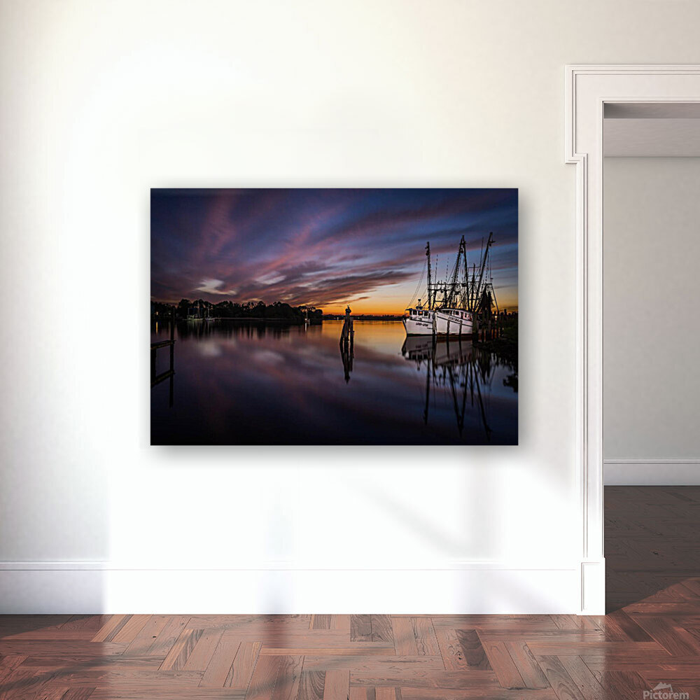 Carrabelle Reproduction
