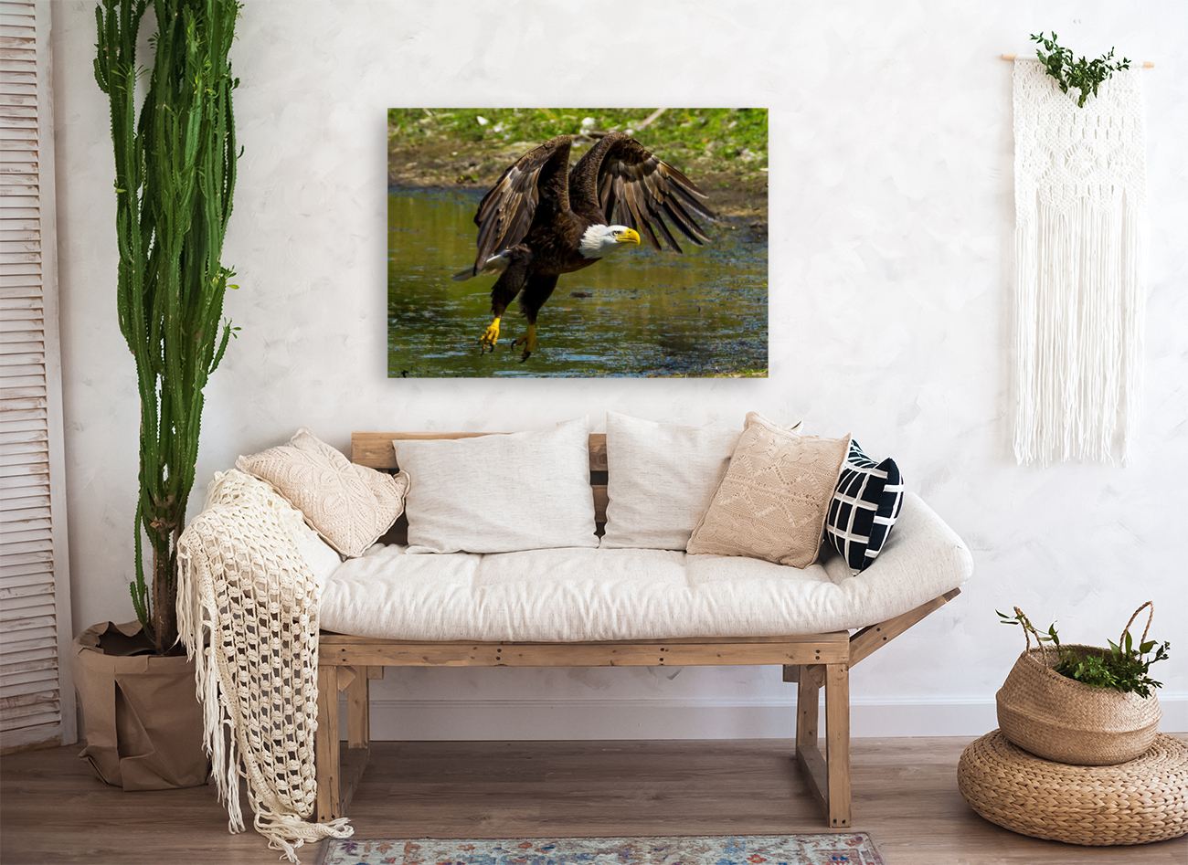 Bald Eagle Reproduction