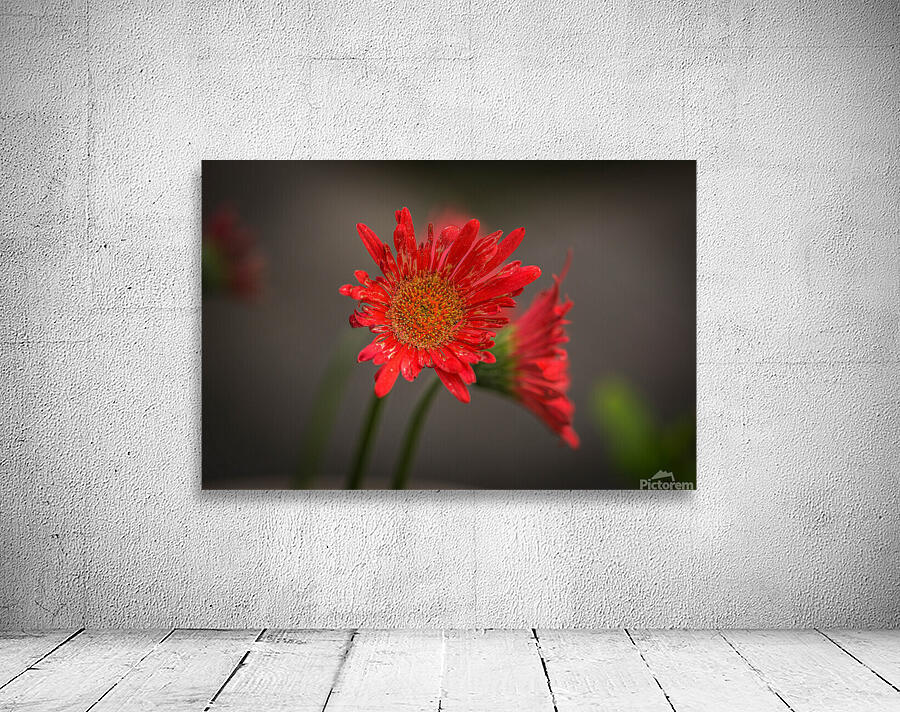 Flowers  Wall Preview