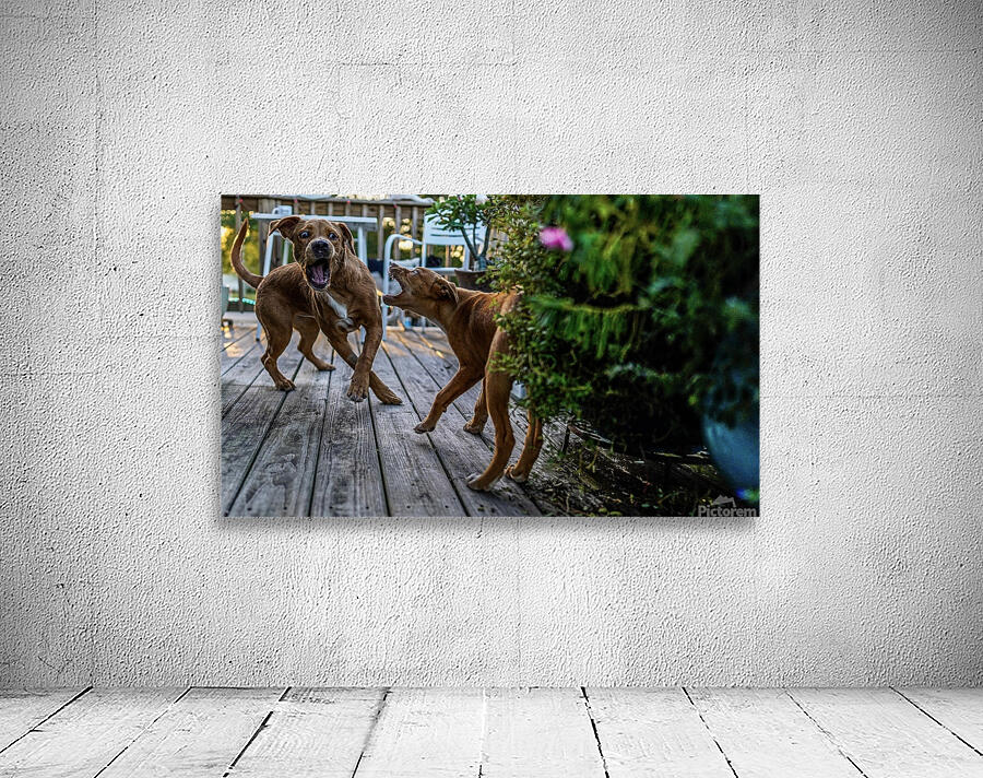 Puppies  Wall Preview