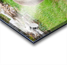 Boss Bear Acrylic print