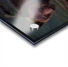 Life & Death in the Shadows Acrylic print