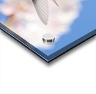 Regal Defence Acrylic print