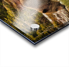 Morning Light Acrylic print