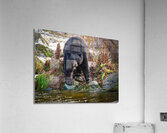 The Watch Acrylic Print