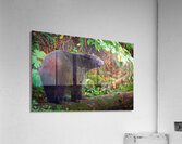 Into the Light - Zen Bear Acrylic Print