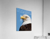 Freedom Acrylic Print