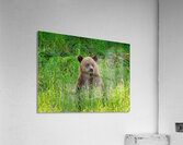 Marshmallow - Next Generation Impression acrylique