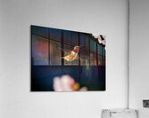 Hovercraft Acrylic Print