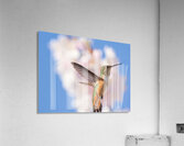 Regal Defence Acrylic Print