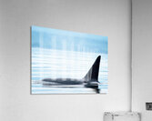 Serenity  Acrylic Print