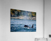 Legend III - Chainsaw [T063] Acrylic Print