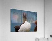 I See You  Acrylic Print