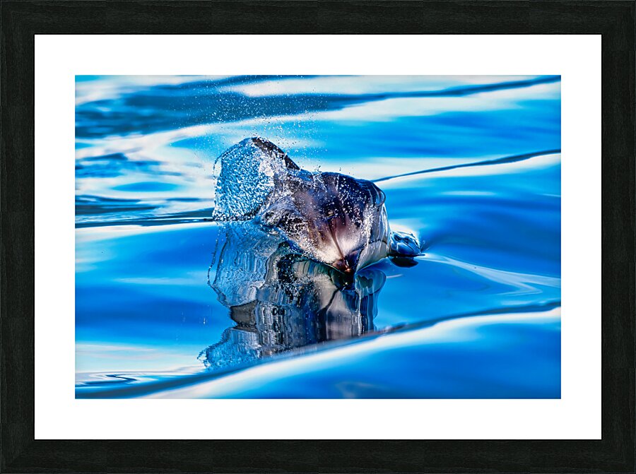 Reflections  Impression et Cadre photo