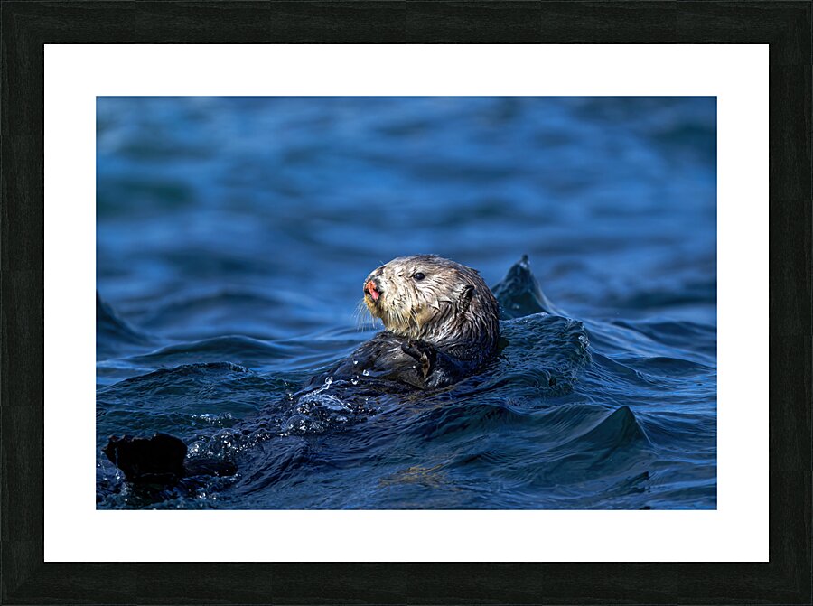 Relax  Picture Frame print