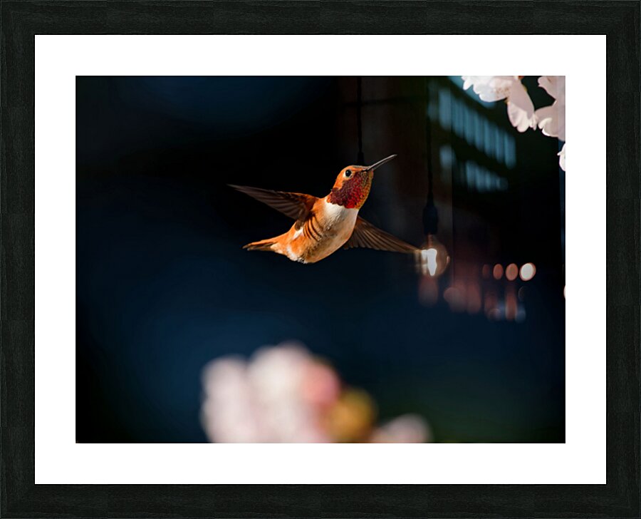 Hovercraft Picture Frame print