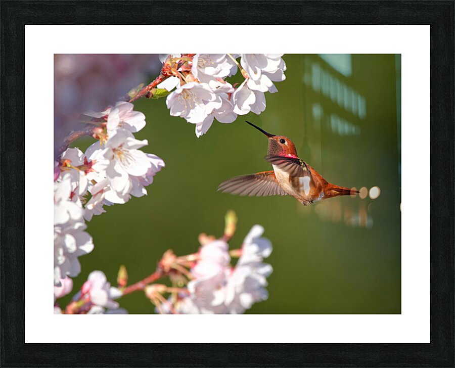 Afternoon Delight Picture Frame print