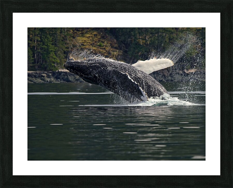 Levitation Picture Frame print