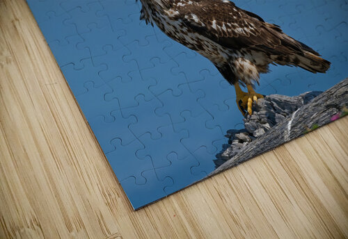 Legacy - Bald Eagles Heather Bee Photography puzzle