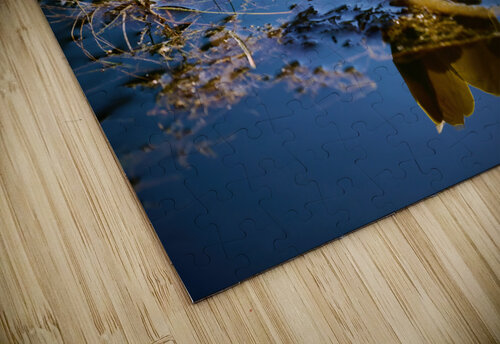 Lily Heather Bee Photography puzzle
