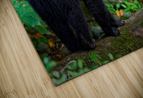 Into the Light - Zen Bear Heather Bee Photography puzzle