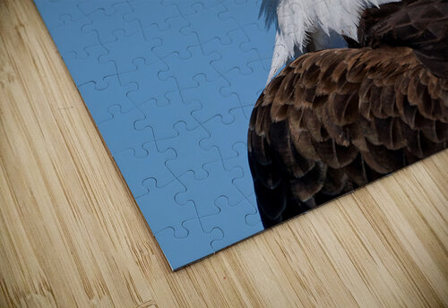 Freedom Heather Bee Photography puzzle