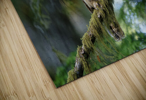 Wisdom Heather Bee Photography puzzle