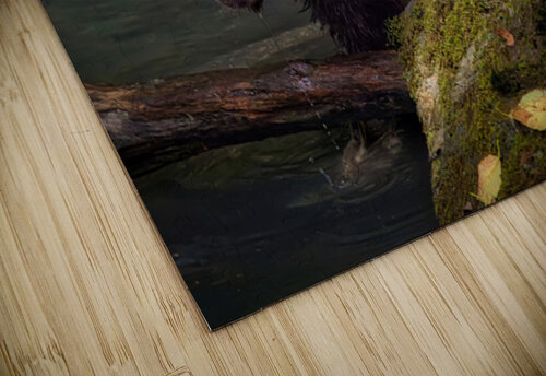 Life & Death in the Shadows Heather Bee Photography puzzle