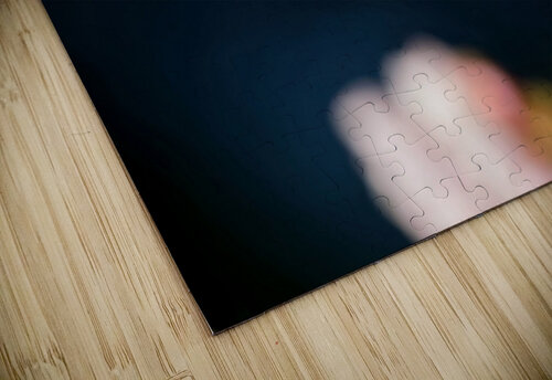 Hovercraft Heather Bee Photography puzzle