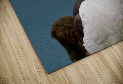 I See You  Heather Bee Photography puzzle