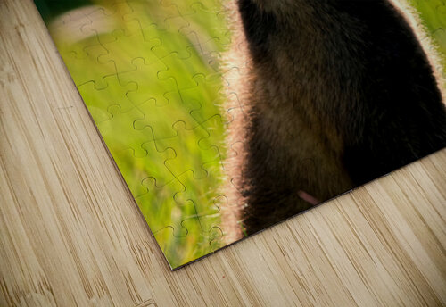 Foxy Lady Heather Bee Photography puzzle