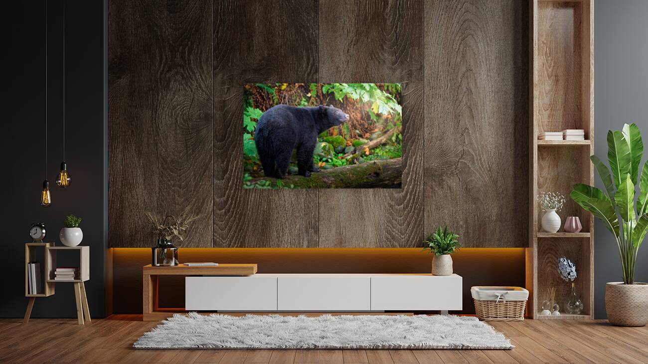 Into the Light - Zen Bear Reproduction