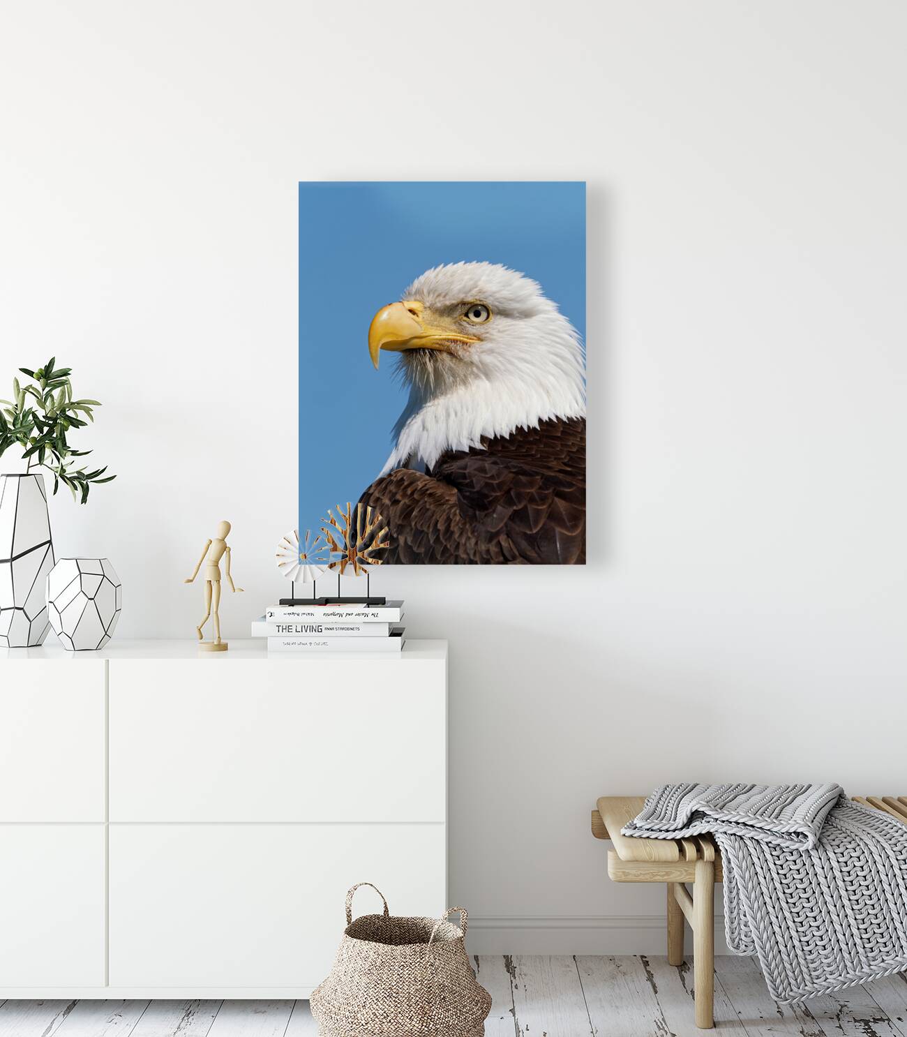 Freedom Reproduction