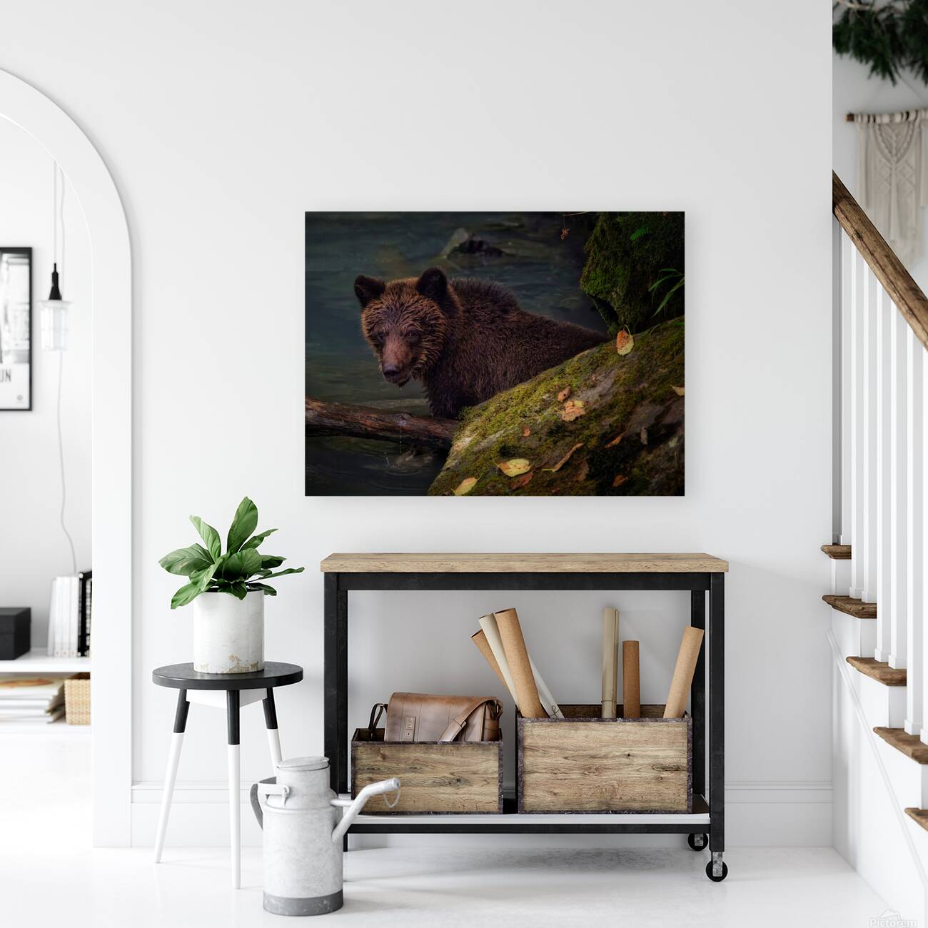 Life & Death in the Shadows Reproduction