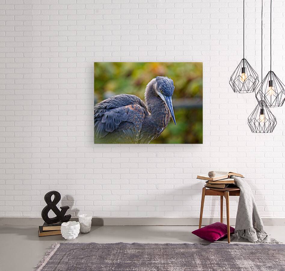 Autumn Blue Reproduction