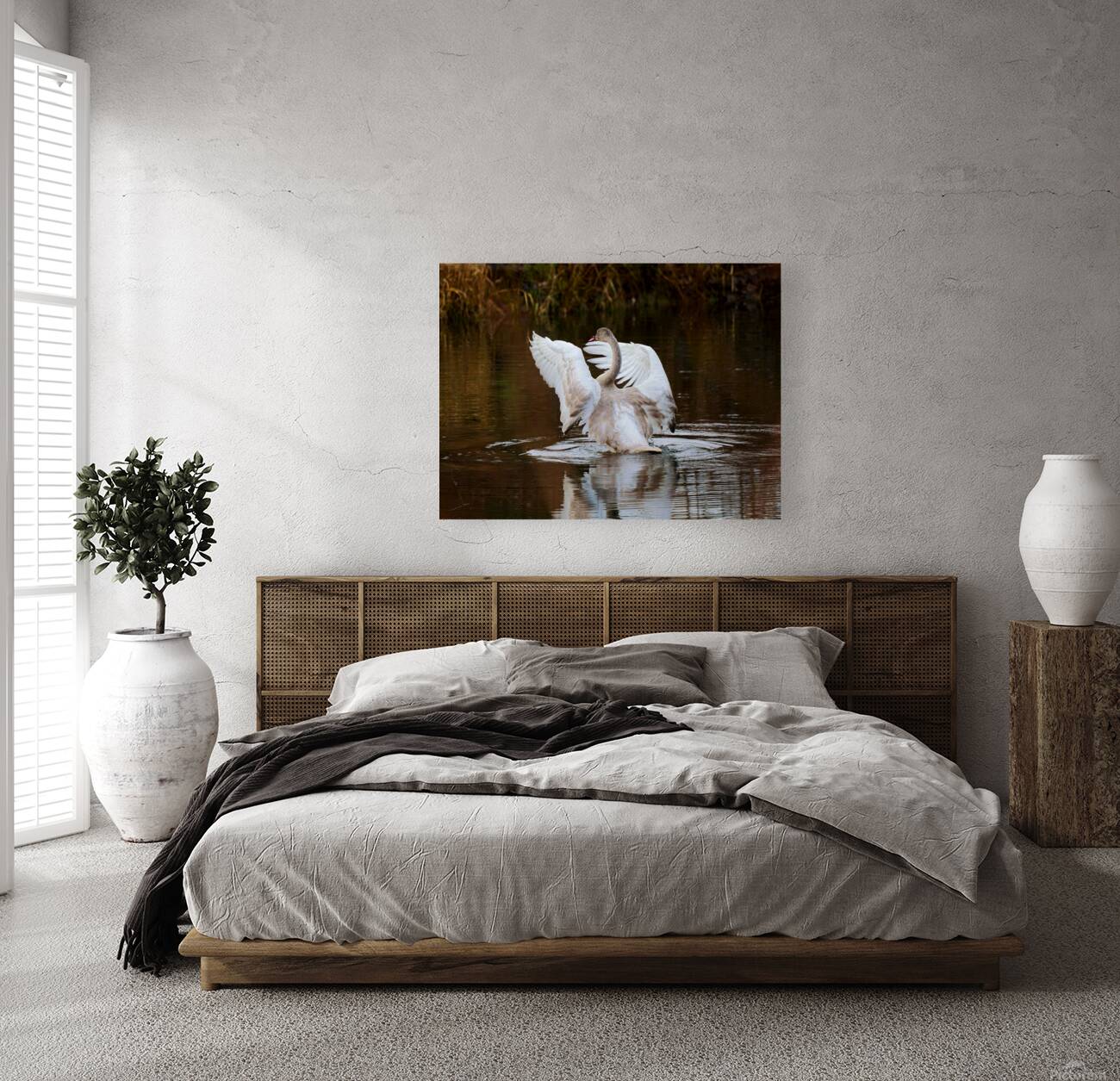 The Conductor Reproduction