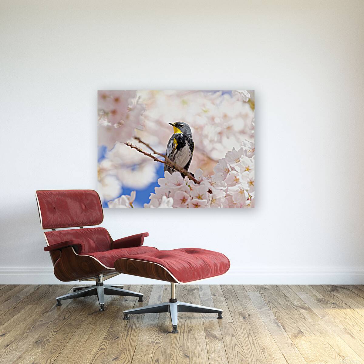 Warbler & Cherry Blossoms Reproduction