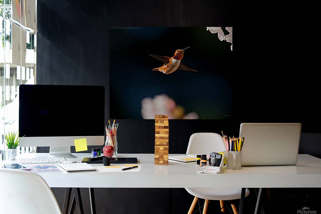 Hovercraft Reproduction