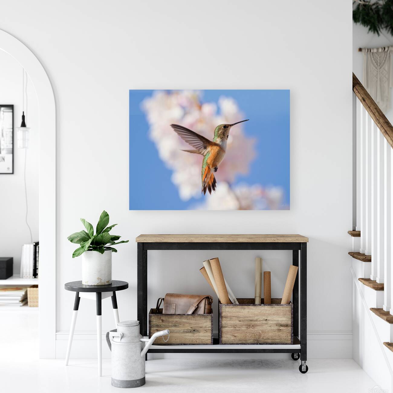 Regal Defence Reproduction