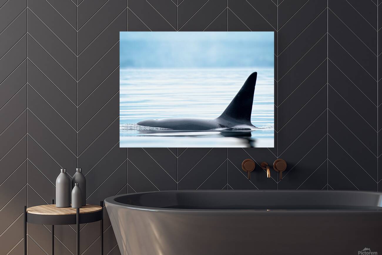 Serenity  Reproduction