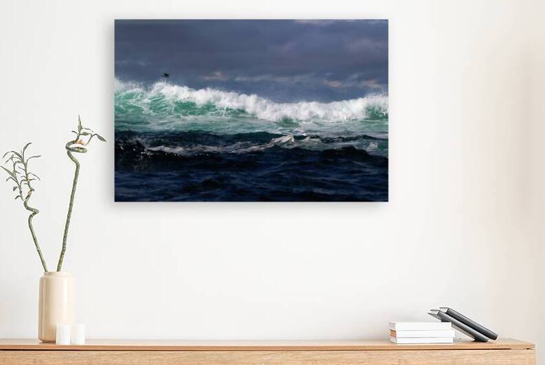 Waves Reproduction